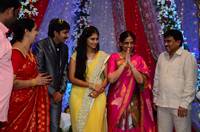 Gopichand Malineni Wedding Reception Gallery